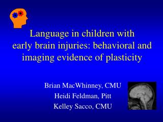 Language in children with early brain injuries: behavioral and imaging evidence of plasticity