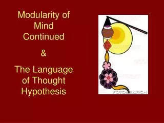 Modularity of Mind Continued &amp; The Language of Thought Hypothesis