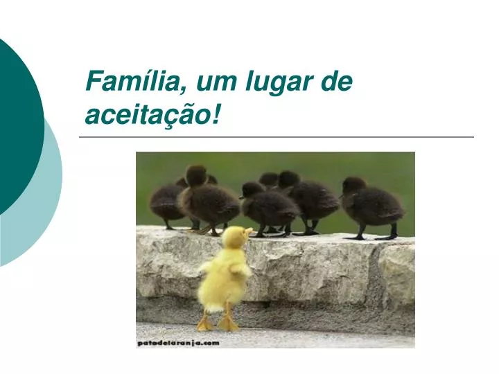 fam lia um lugar de aceita o