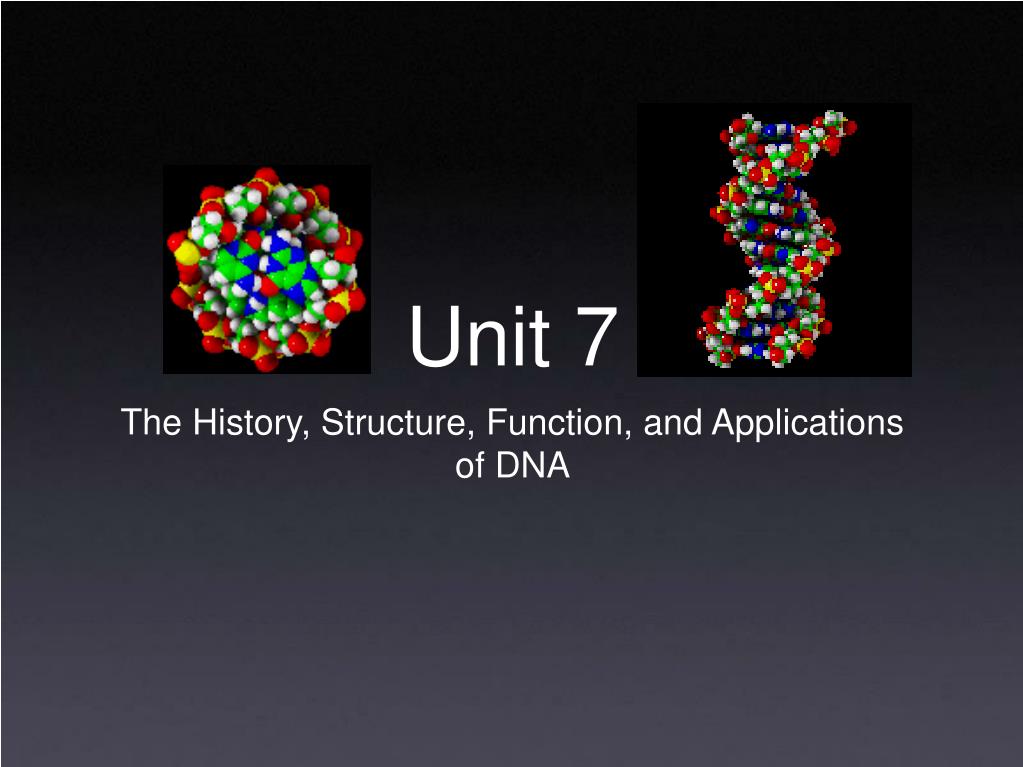 PPT - Unit 7 PowerPoint Presentation, free download - ID:42640