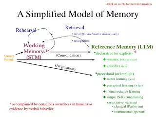 A Simplified Model of Memory