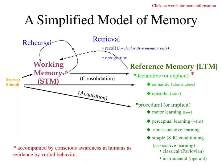 a simplified model of memory