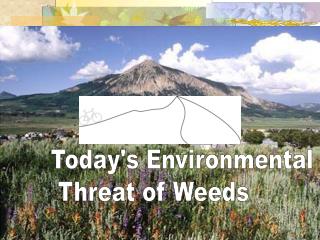 Today's Environmental Threat of Weeds