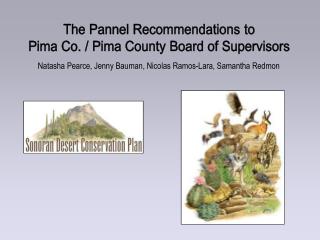 The Pannel Recommendations to Pima Co. / Pima County Board of Supervisors