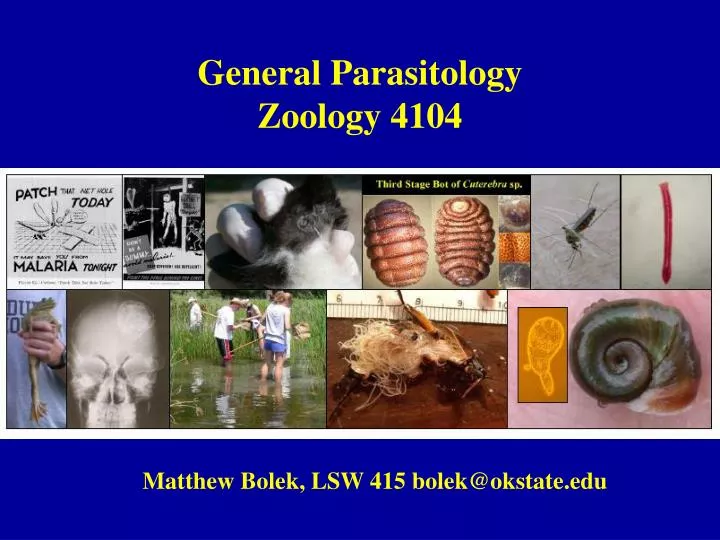 general parasitology zoology 4104
