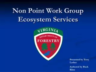 Non Point Work Group Ecosystem Services