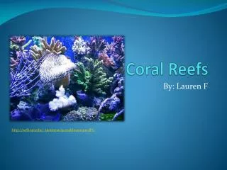 Coral Reefs