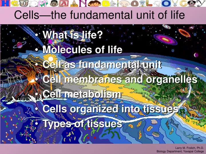 cells the fundamental unit of life