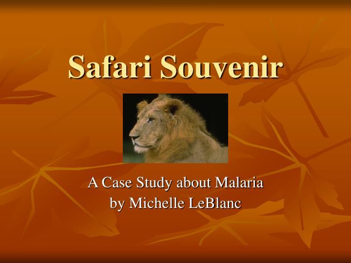 safari souvenir