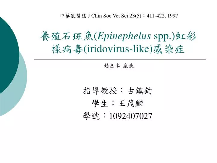 epinephelus spp iridovirus like
