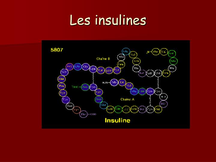 les insulines