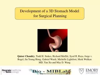 Development of a 3D Stomach Model for Surgical Planning