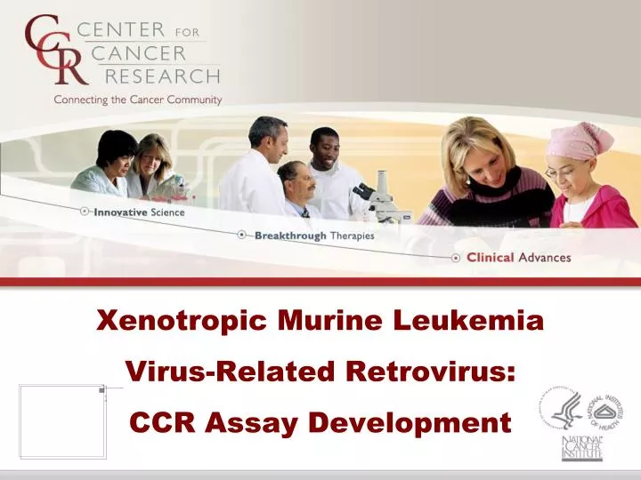 xenotropic murine leukemia virus related retrovirus ccr assay development