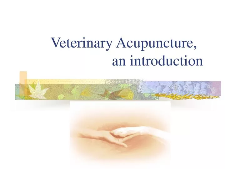 veterinary acupuncture an introduction