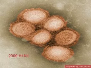 2009 H1N1 July 25th update