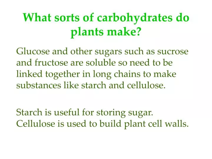 what sorts of carbohydrates do plants make