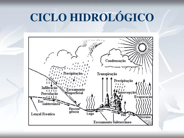 ciclo hidrol gico