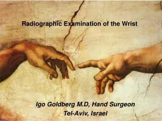 Igo Goldberg M.D, Hand Surgeon Tel-Aviv, Israel