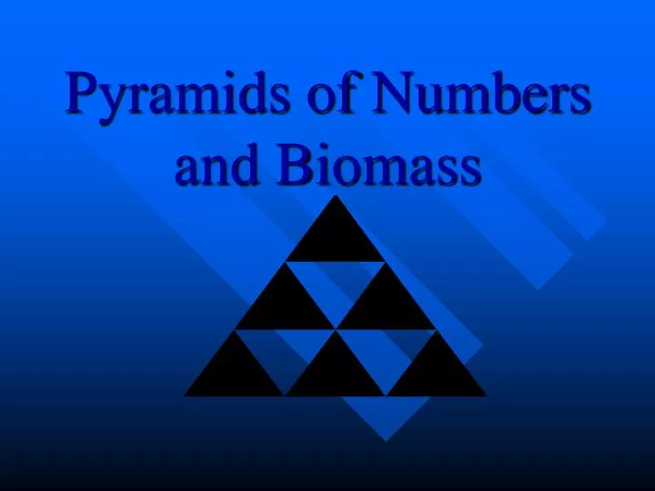 pyramids of numbers and biomass
