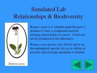 Simulated Lab Relationships &amp; Biodiversity