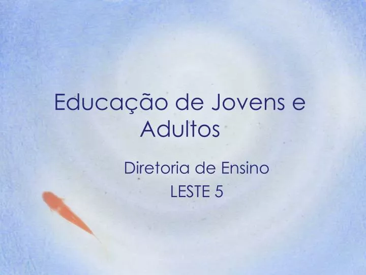 educa o de jovens e adultos