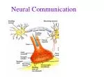 Neural Communication - slide 1