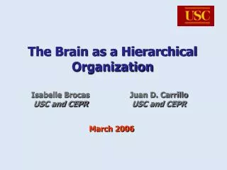 The Brain as a Hierarchical Organization