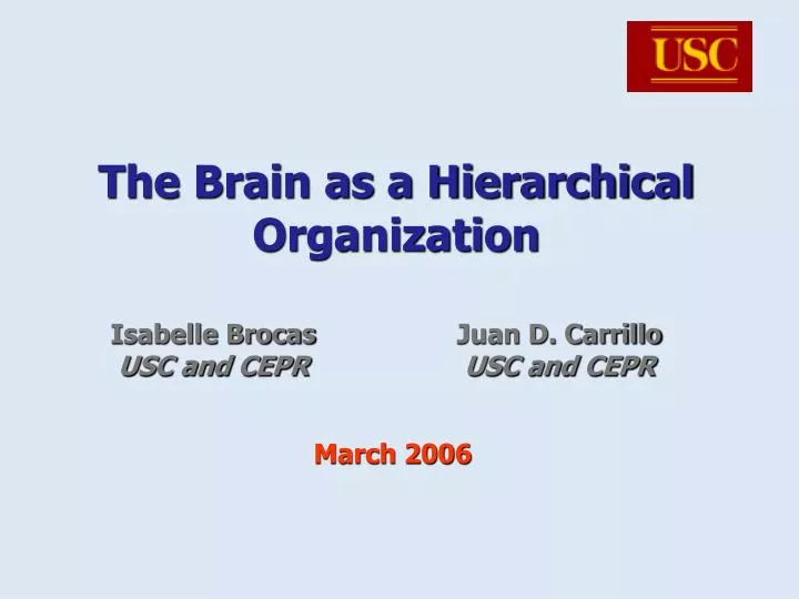 the brain as a hierarchical organization