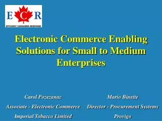 Electronic Commerce Enabling Solutions for Small to Medium Enterprises