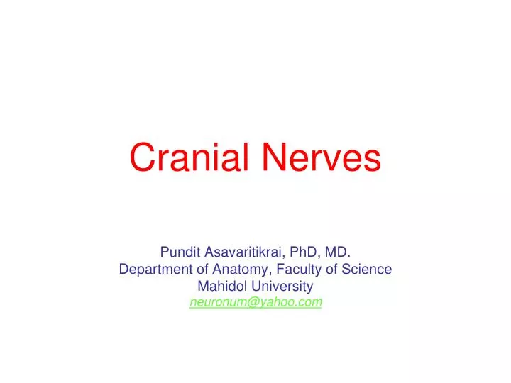 cranial nerves