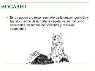 BOCASHI