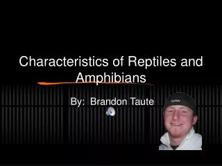 Characteristics of Reptiles and Amphibians