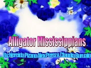 Alligator Mississippians