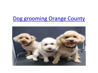 Dog Grooming Orange County