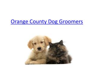 Orange County Dog Groomers
