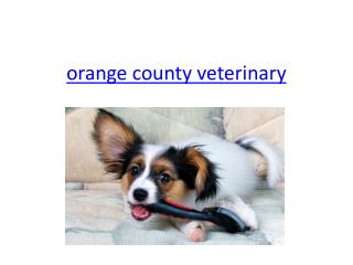 Orange County Veterinary