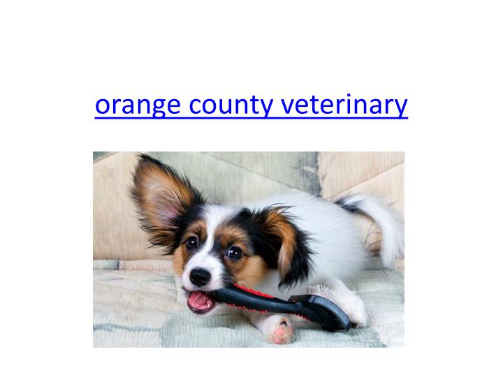 orange county veterinary