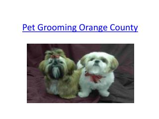 Pet Grooming Orange County