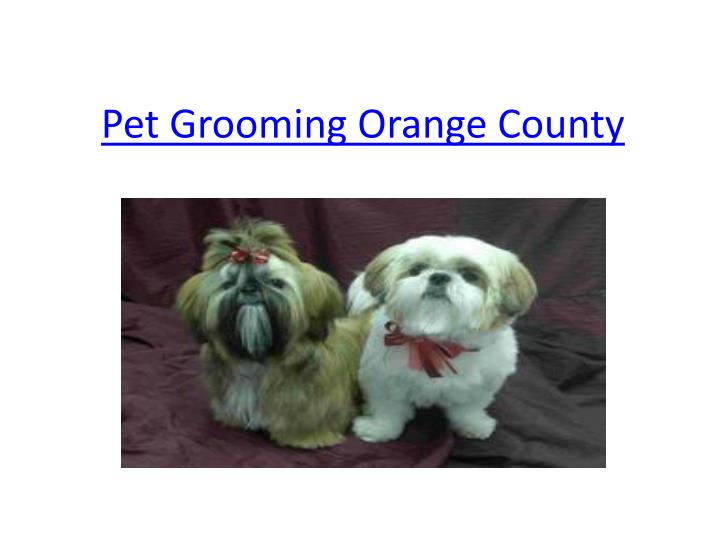 pet grooming orange county