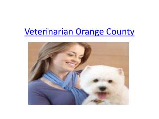 Veterinarian Orange County