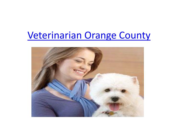 veterinarian orange county
