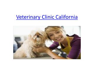 Veterinary Clinic California