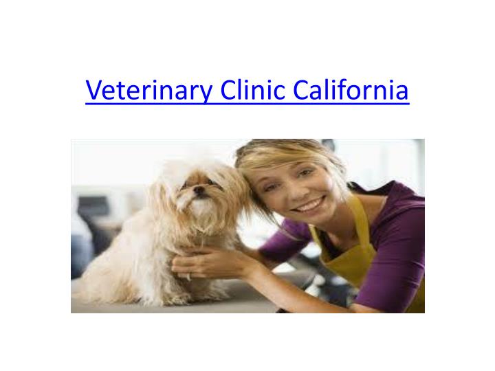 veterinary clinic california