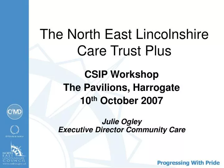 the north east lincolnshire care trust plus