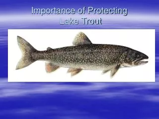 Importance of Protecting Lake Trout
