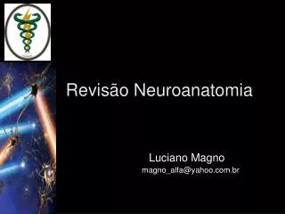 Revisão Neuroanatomia