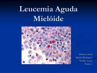 Leucemia Aguda Mielóide