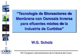 “Tecnología de Bioreactores de Membrana con Osmosis Inversa para efluentes mixtos de la Industria de Curtidos”