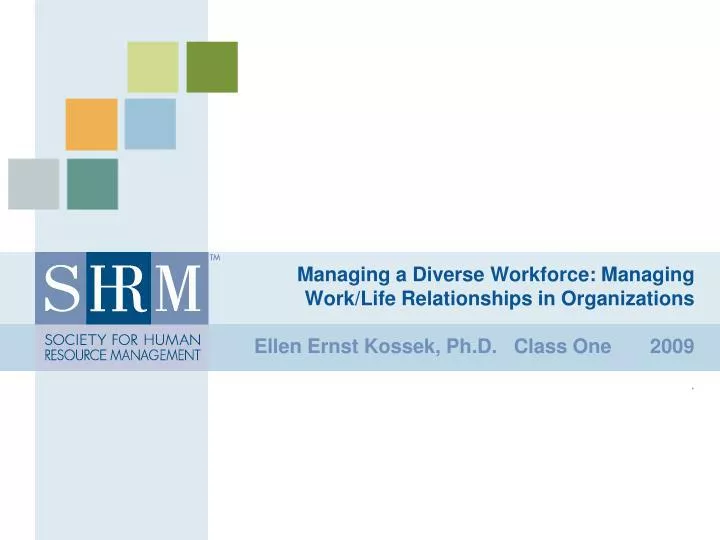 managing a diverse workforce managing work life relationships in organizations