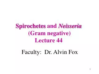 Spirochetes and Neisseria (Gram negative) Lecture 44